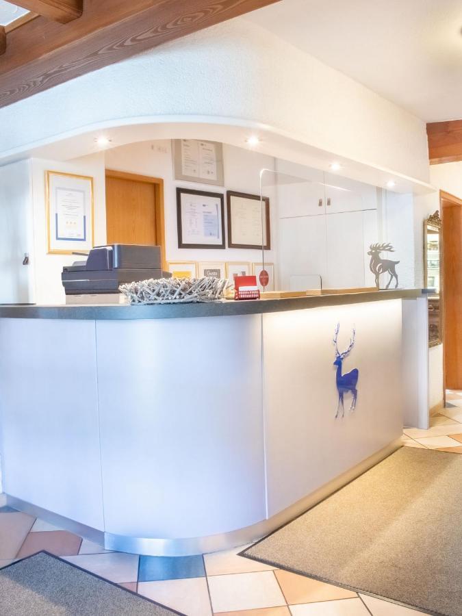 Hotel Hirsch 3*