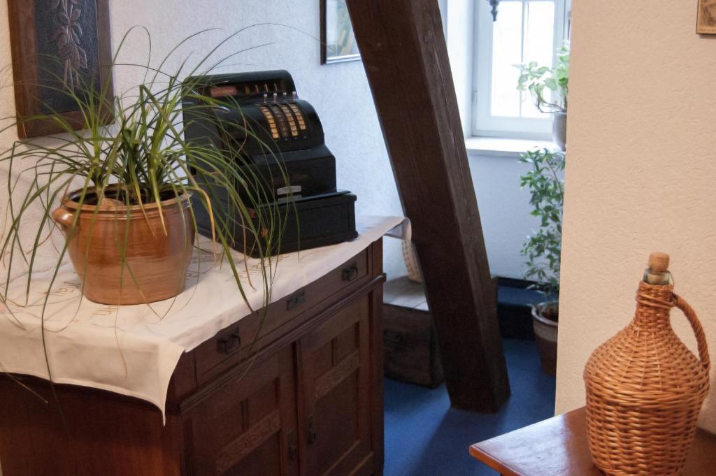 Hirsch Hotel 3*