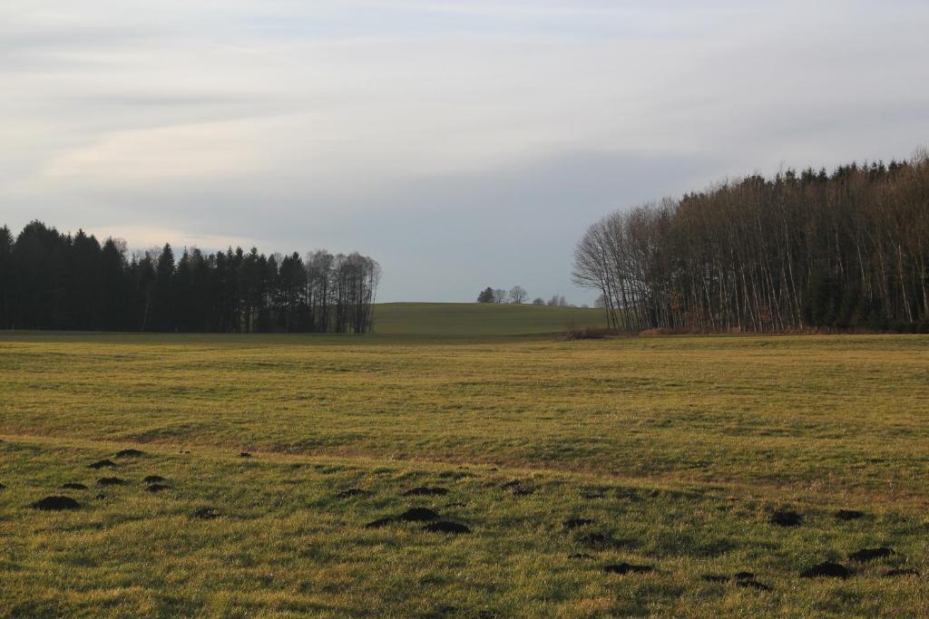 Hirsch Ostrach
